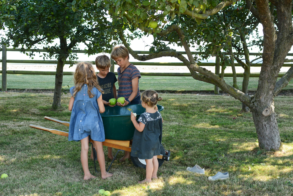 kids and wheelbarrow