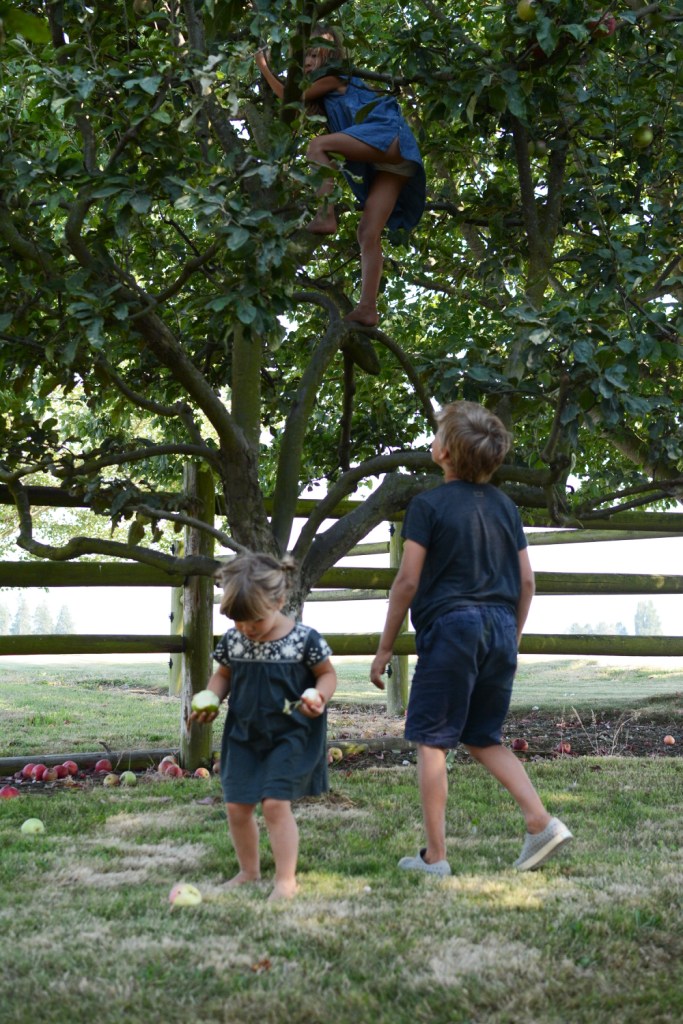 Kids picking apples
