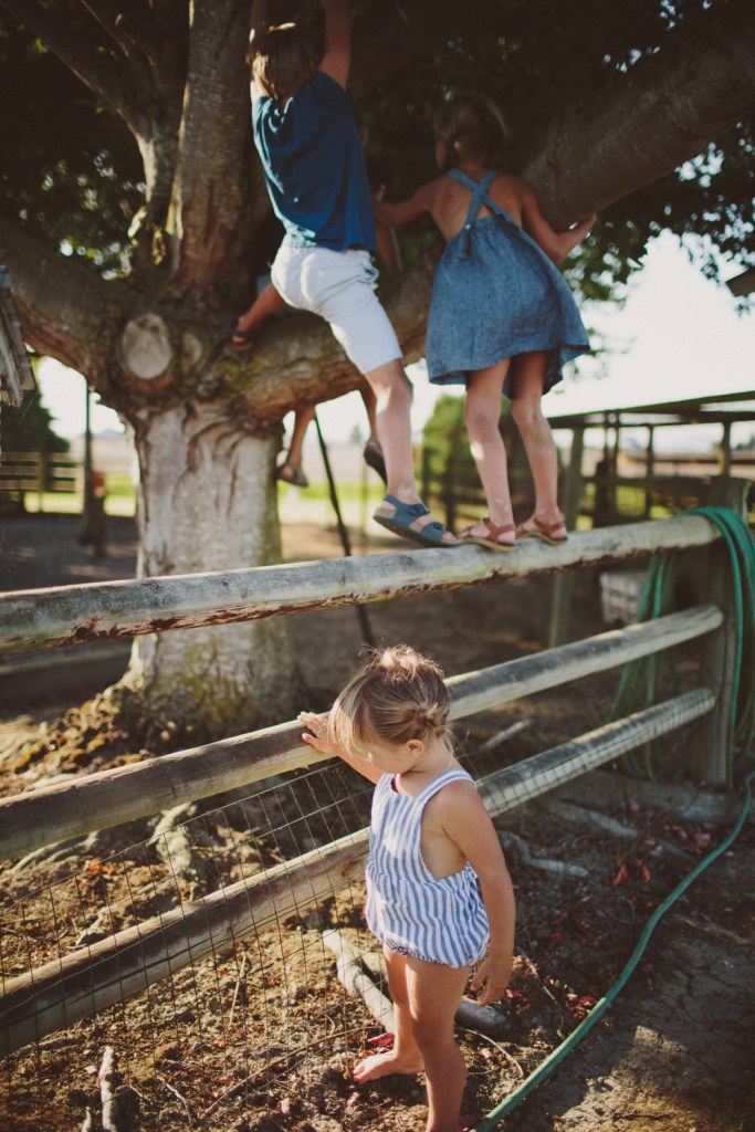 kids climbing tree