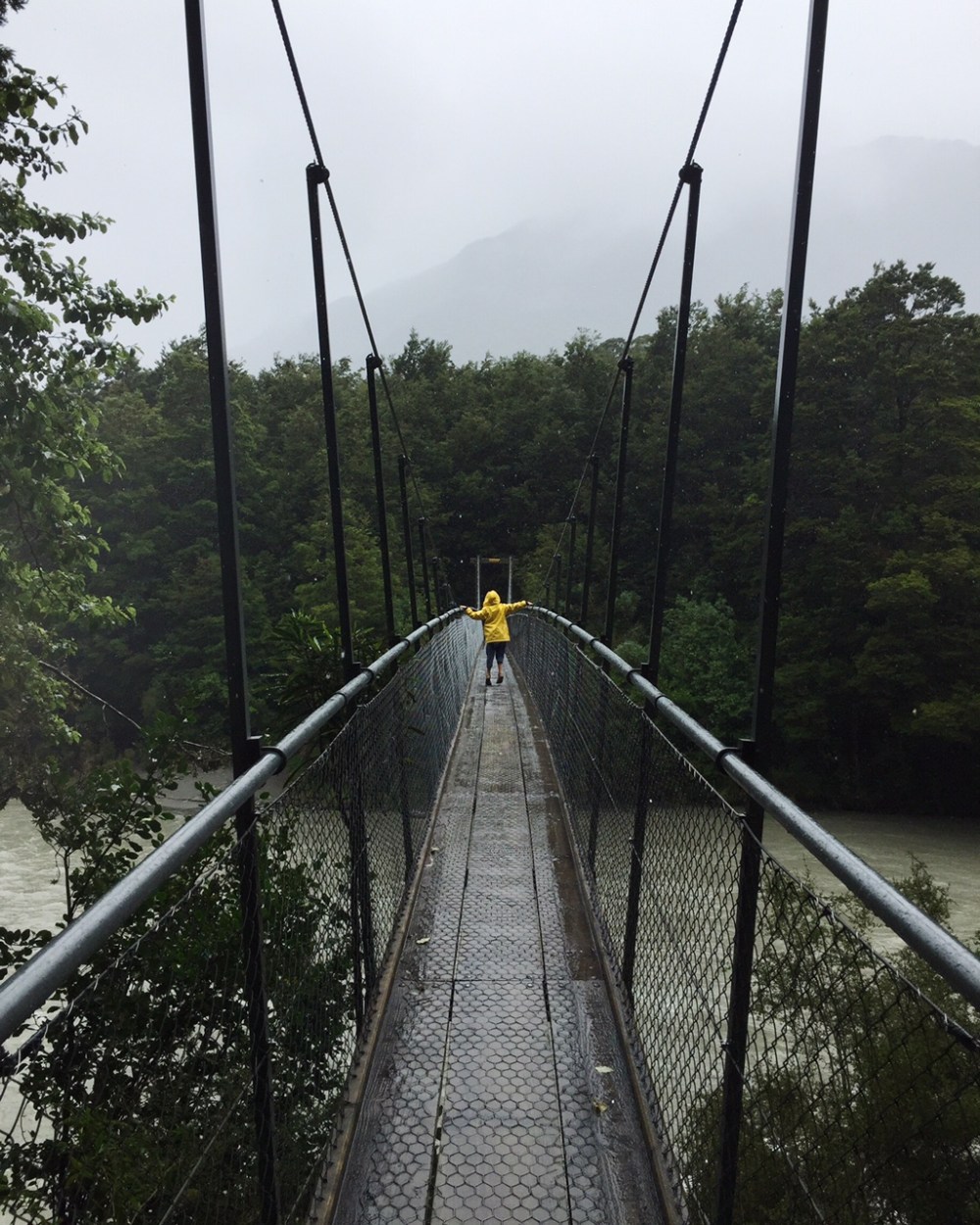 Ivy on bridge in Haast pass
