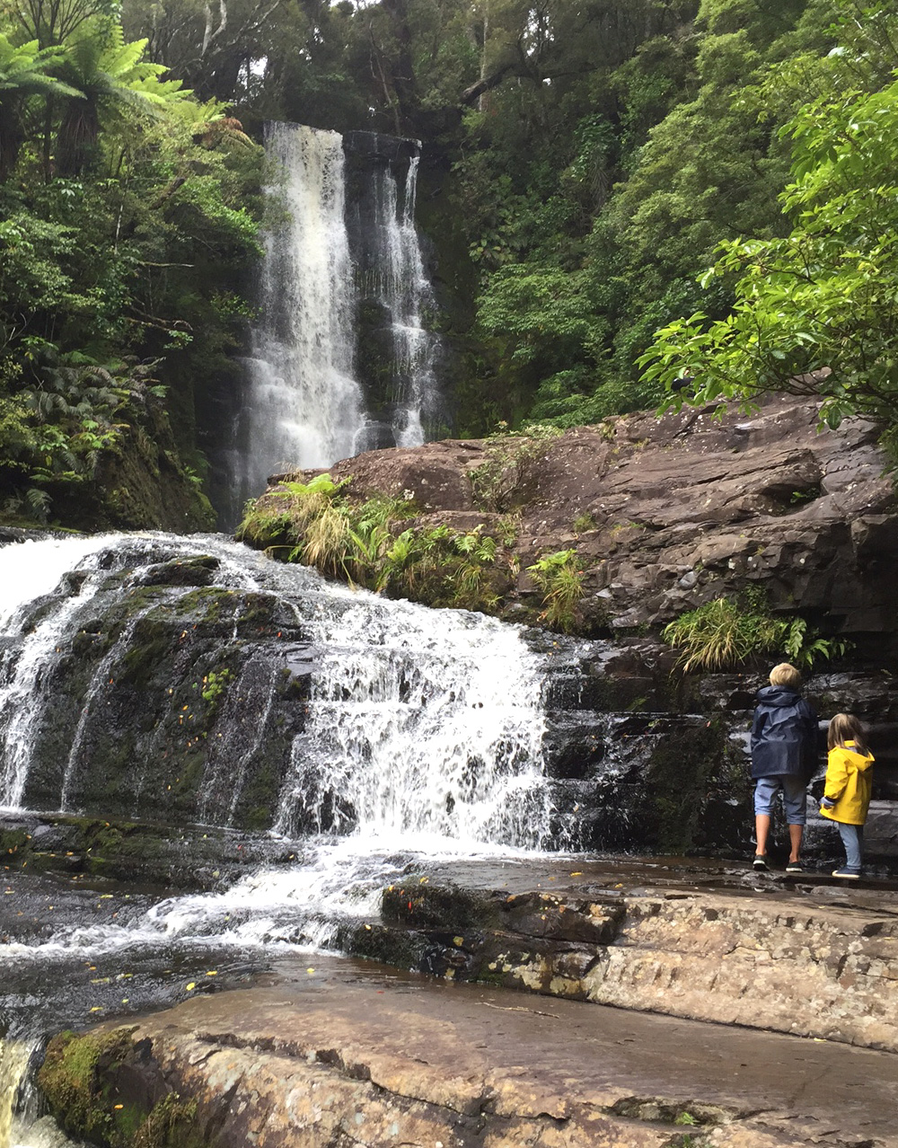 McLean Falls in the Catlins