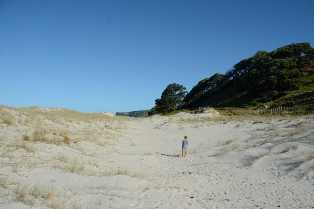 Quin at Pakiri Beach