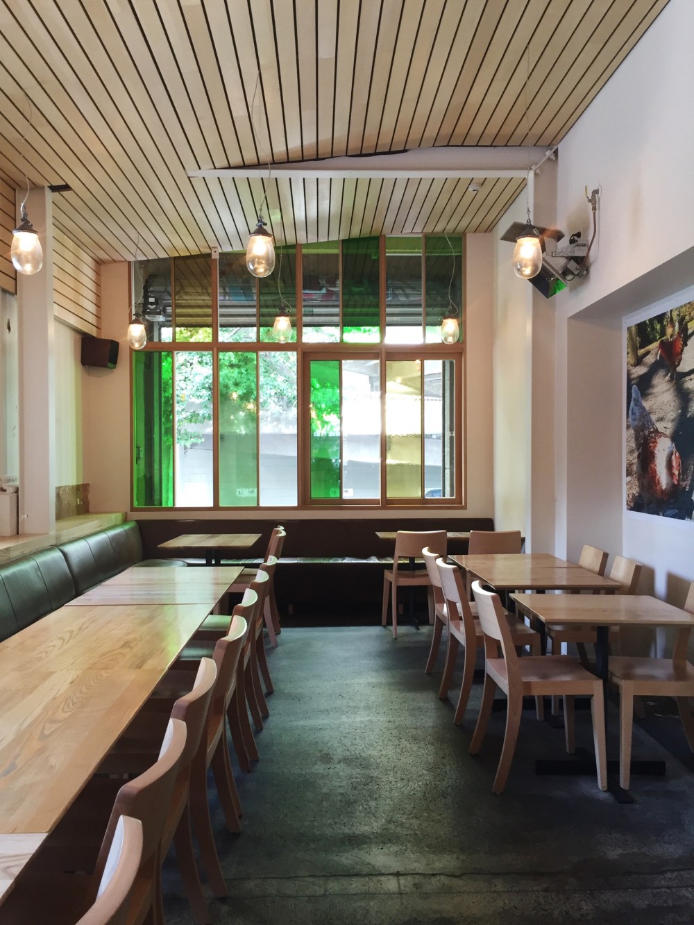 Loretta in Wellington