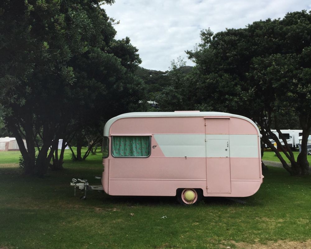 Piha Domain Campsite