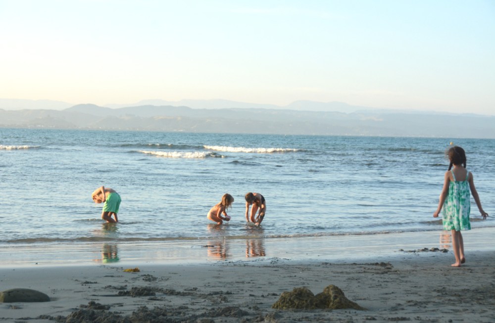 playing on little bondi in Napier