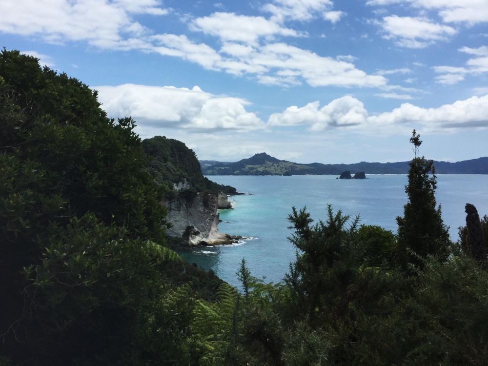 view of cathedral cove