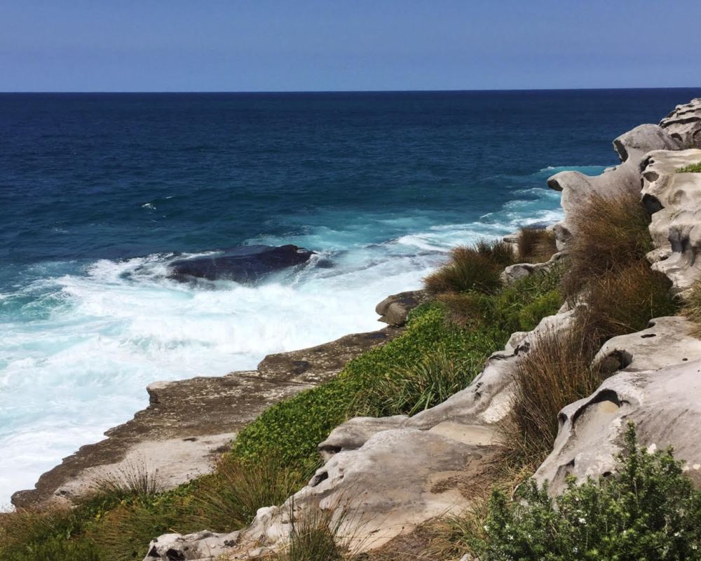bondi to bronte coastal walk