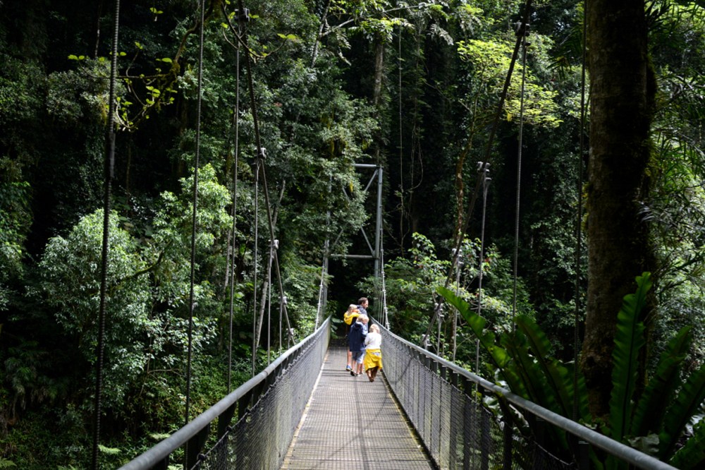 bridge in Dorrigo
