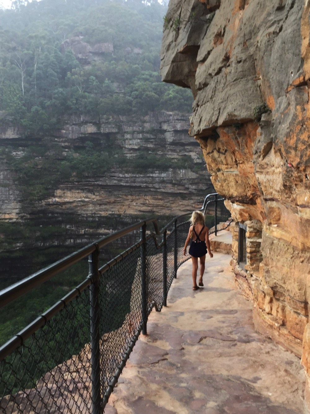 Ivy at Wentworth Falls in the Blue Mountains