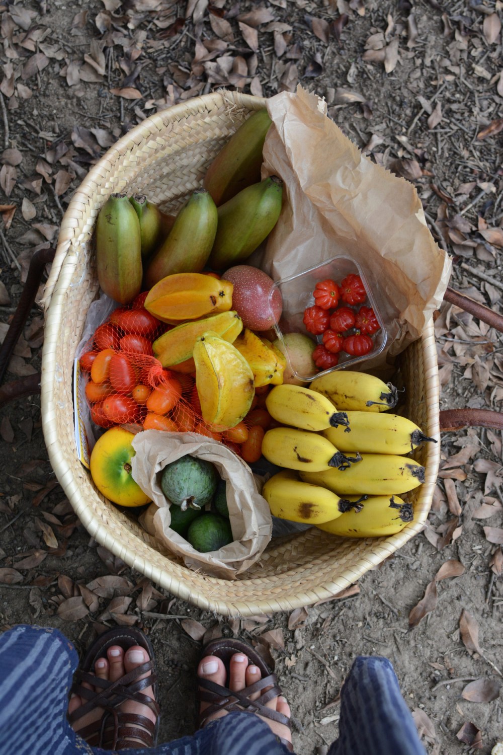 basket of fruit