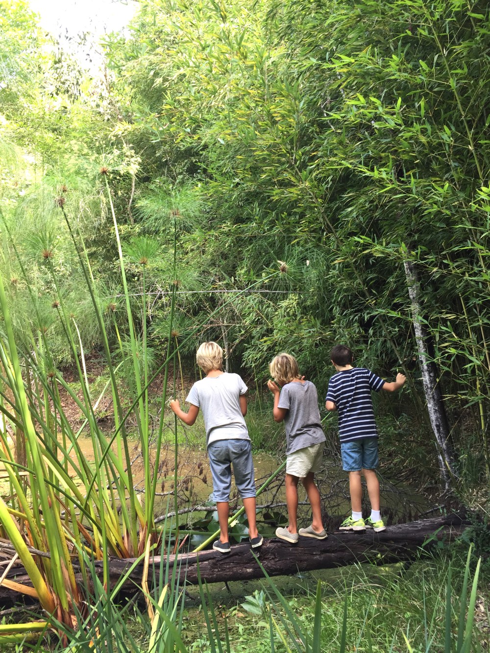 boys at Natalie's house