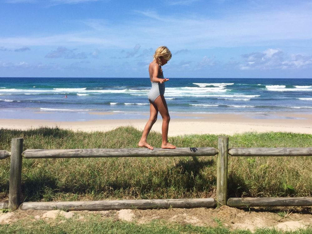 Ivy on fence in Lennox Head