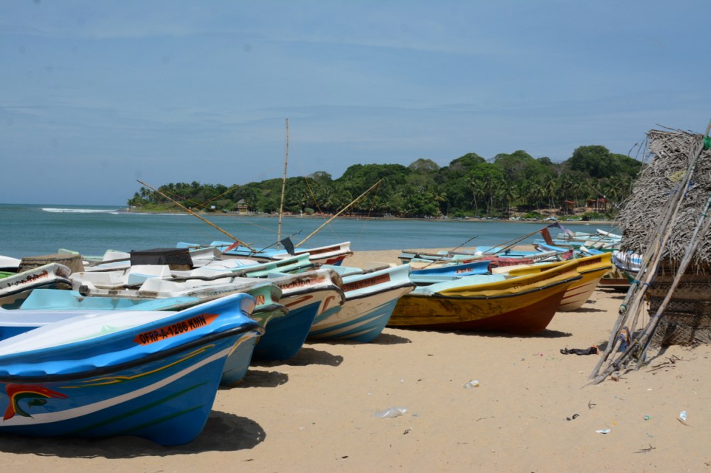 arugam beach