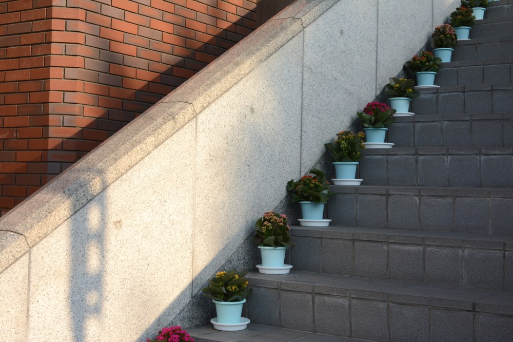 flowers on steps in Kyoto