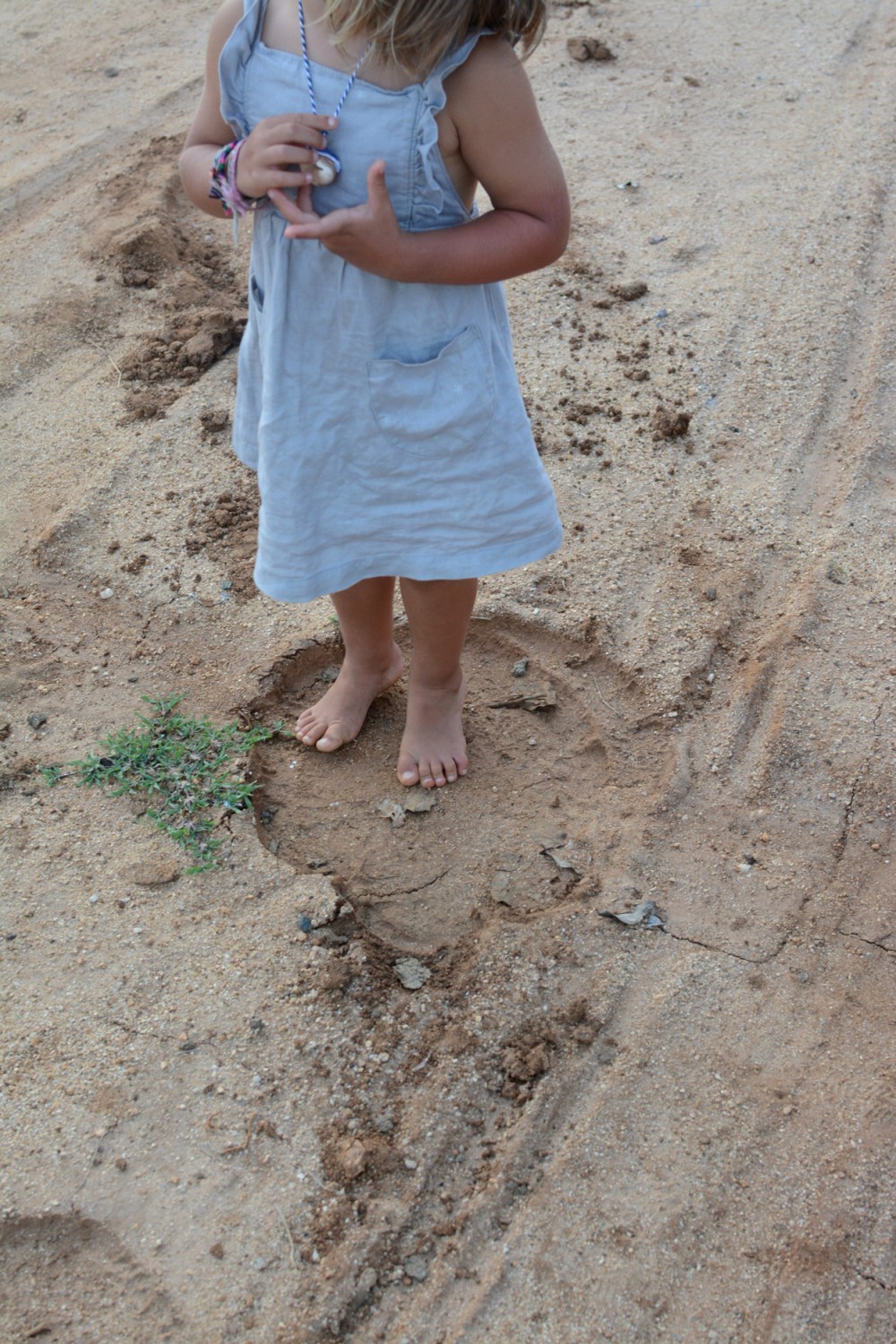 marlow inside an elephant footprint