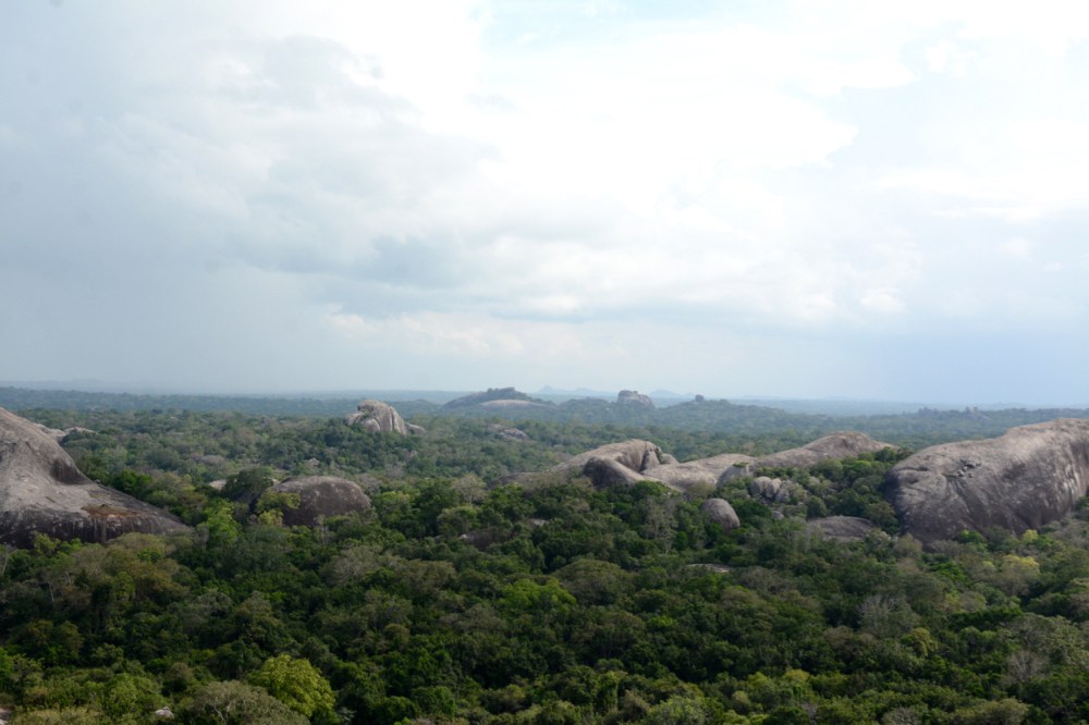 view from buddha rock