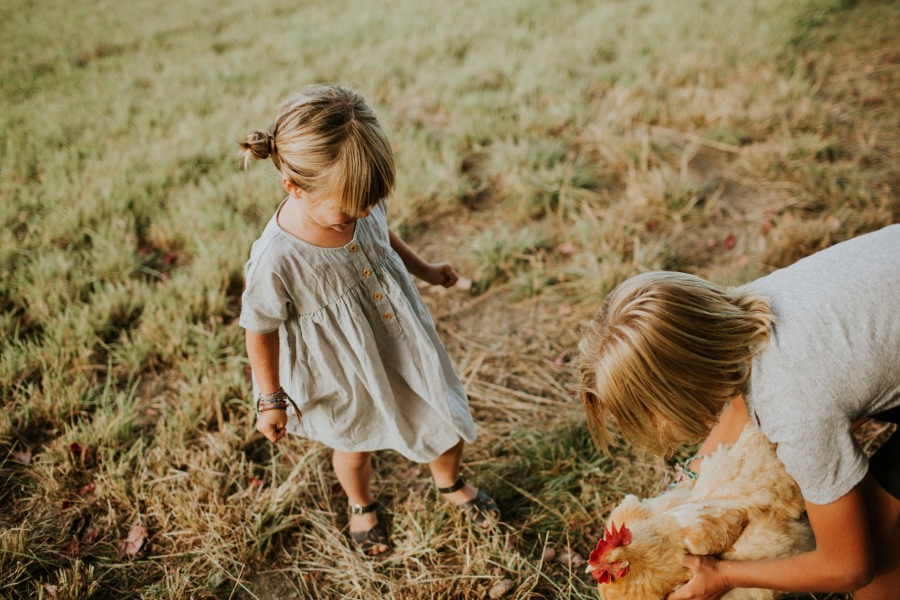 marlow-and-quin-and-chicken