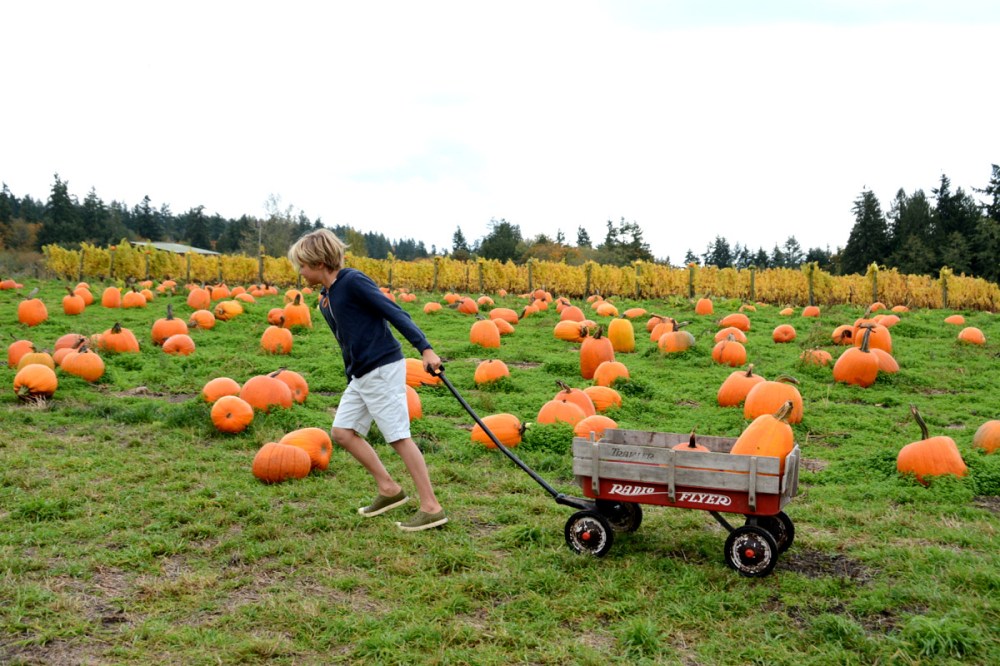 easton-pulling-wagon