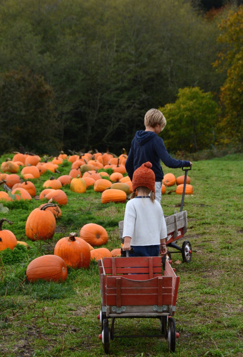 marlow-and-easton-at-the-pumpkin-patch